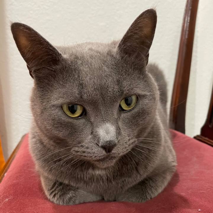 50024903 0a75 442d a7c3 e1f46b645cb8 1694870577225