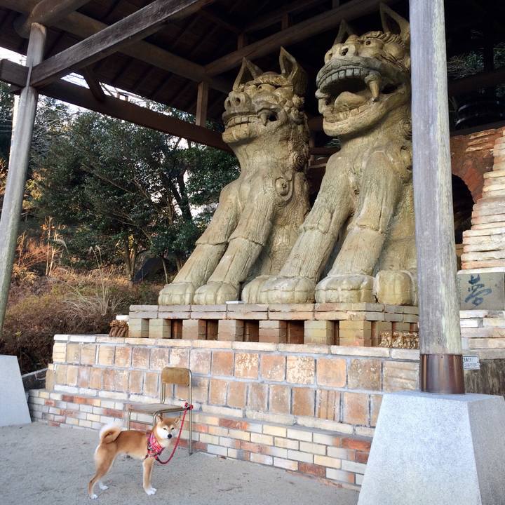 500250d7 43cb 4278 b0e9 da6b1d11b1f1 1514022151883