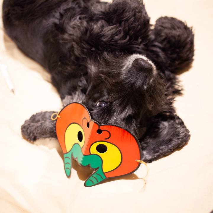 50027445 a342 4e66 b181 3316c7092eb1 1549281104538