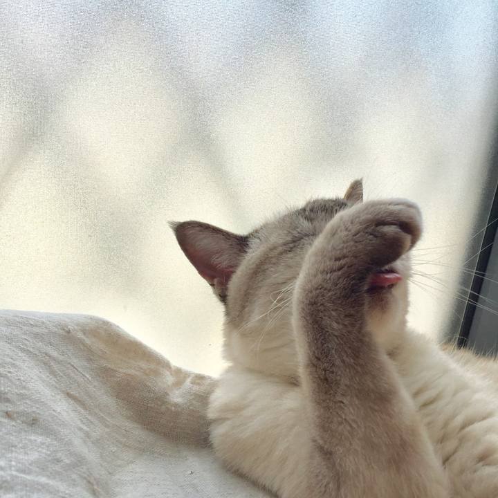 50027b97 b00a 40dd bdf2 6743561e7470 1562389460508