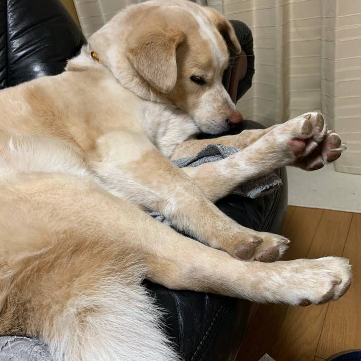 5002f09f 804a 49a6 8841 d376a5a3d7df 1585834693529