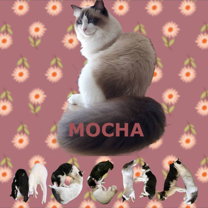 5003647d 9d69 4a20 b389 3671b546c8a6 1669508318062