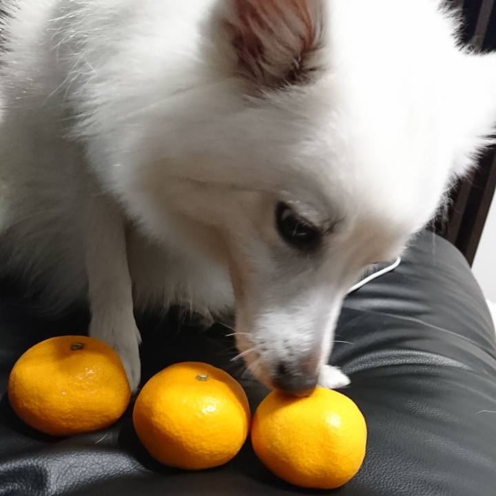 50036cfe 6075 441a aad2 030fa4c92f04 1541773301611