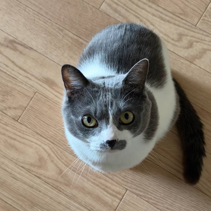 5003b88a c18c 4bb5 bedc 65dd1381f4c6 1769041911348