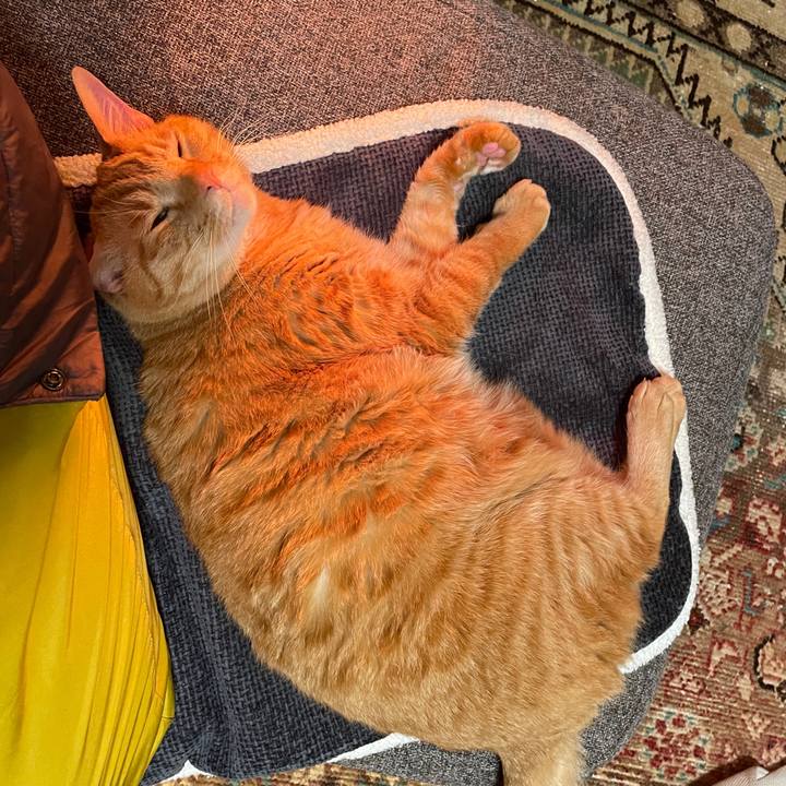 5003c44b 77a0 4324 8bcf 07cbe1e5702c 1742340859605