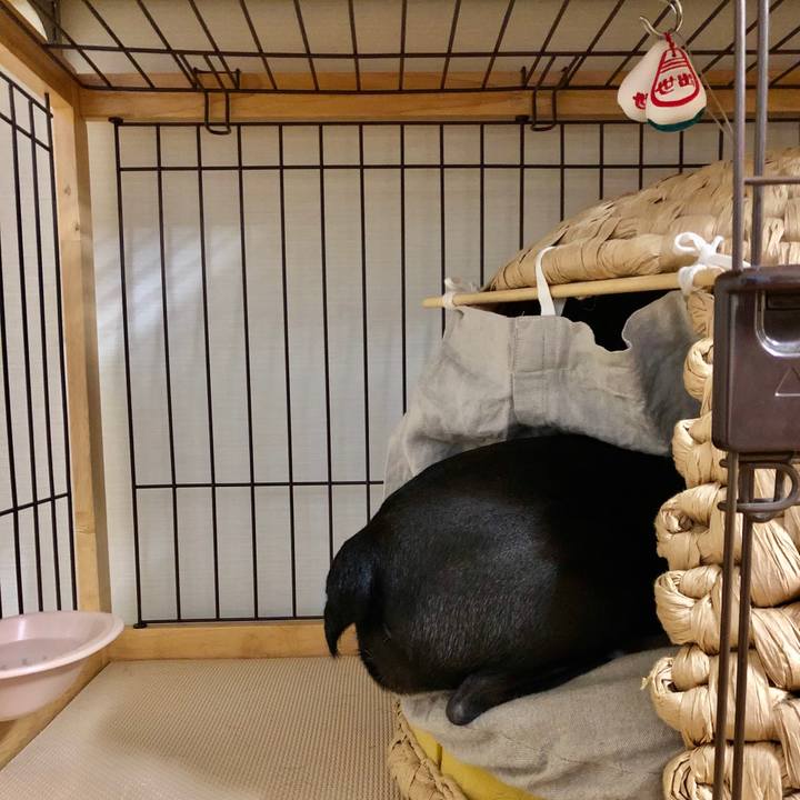 5003ecc7 7cb0 475a b029 ad9a381c71ed 1576567129273