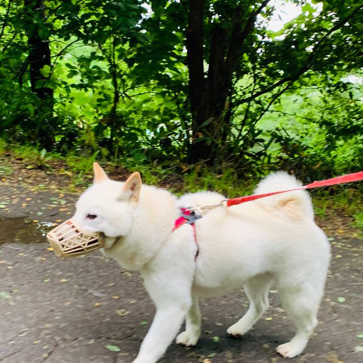 5003fa18 f6bb 494a 8b66 6ce5045c5901 1593464662116