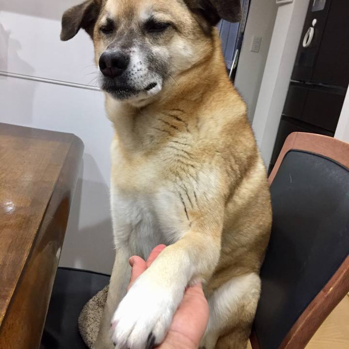 500442e1 0912 4dea b0f6 cb0a660fea14 1524046470340