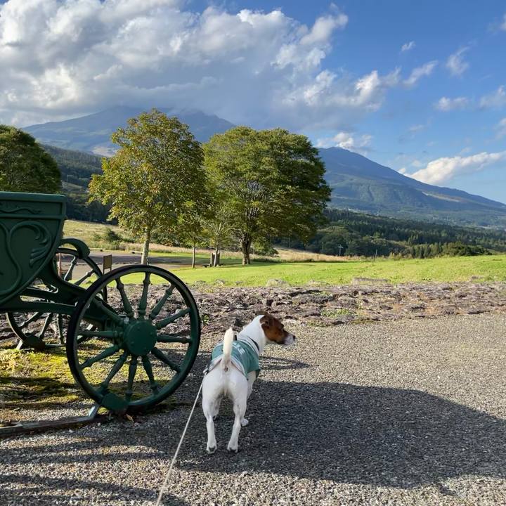 50044bad b883 4050 94eb 229224f0e5a1 1633587936832