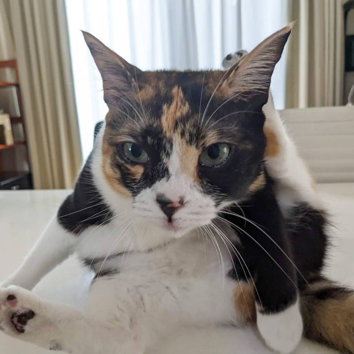 500455ee 3cc2 42d7 aef5 8e256a1dc5ea 1684470768676