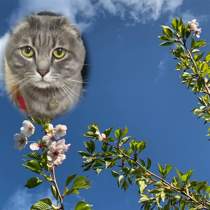 50048939 d9dd 4b97 b41b 26ce2afae661 1620550581269