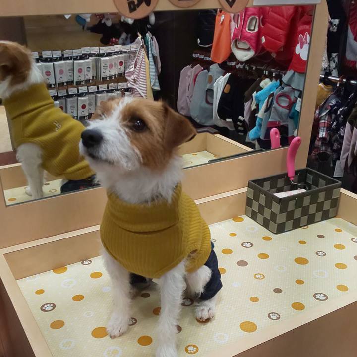 50048dd9 5da7 4634 8699 01277e9f0d7f 1551589732006