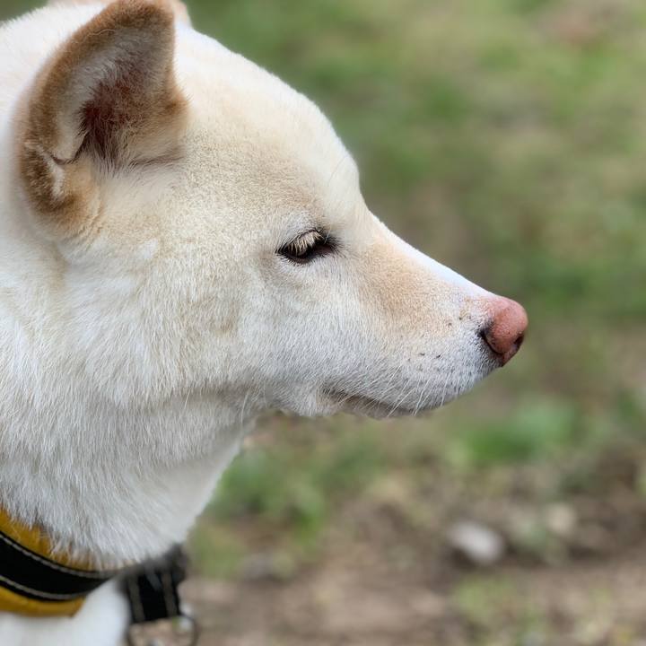 500498cc 6ba7 49b7 ad01 615e174a3bc0 1553406086983