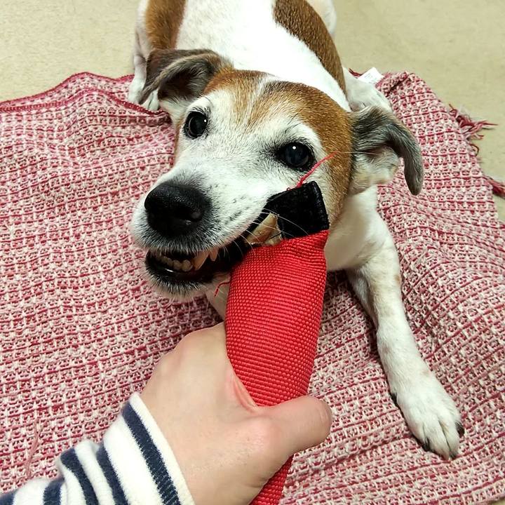 5004c6c9 7fe2 46de a49b 9939fad42876 1550378024469