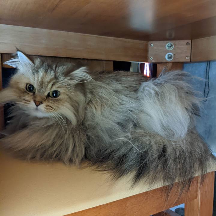 50051187 94cd 4f68 b0fe 50ddb7b99737 1647682516080