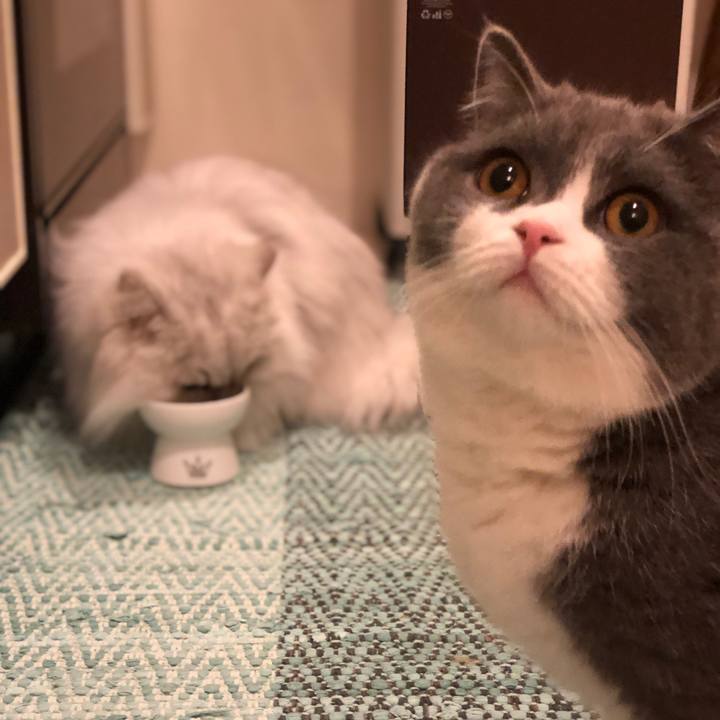 50056093 497b 4998 bbfa af86d98d394e 1544706673832