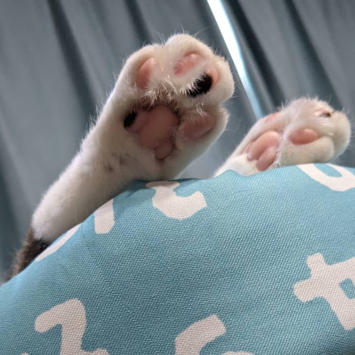 500591eb 33aa 4c47 9093 e71537aadd9d 1716712072914