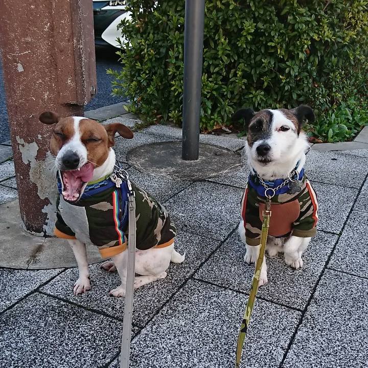 5005b039 fdb4 4395 9fbd 1ace926f93ed 1583184642184