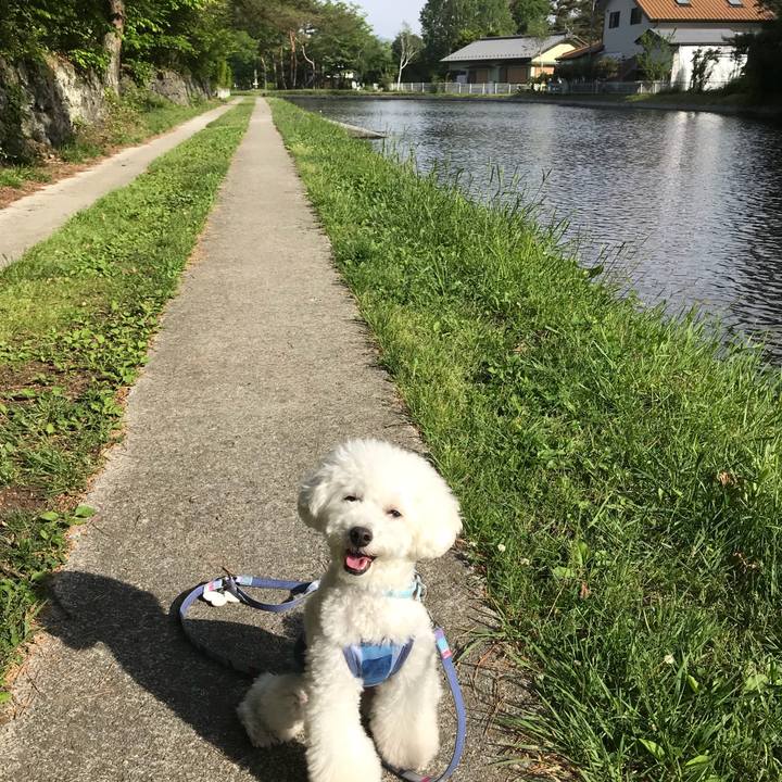 50061d5f 9b89 4f4a 800d 50f74b972f1a 1527496263349