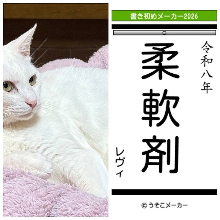 50065320 015d 4325 9583 8b52ee163a7a 1767491071985