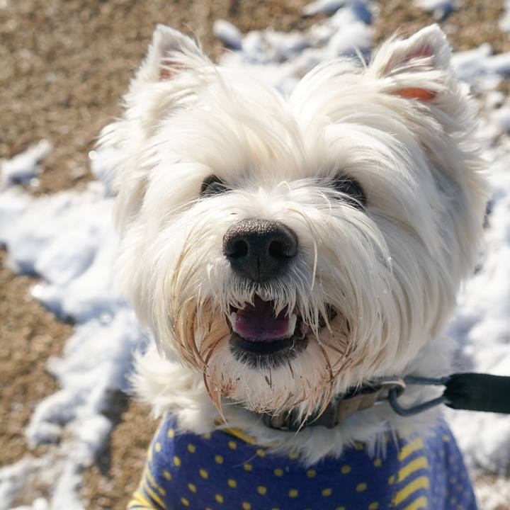 5006579a a41e 48e6 bbee c7d3d9e393cc 1516795995877