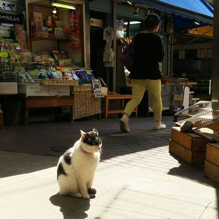 500681de 1198 42d6 993a 69468c928d16 1523352959892