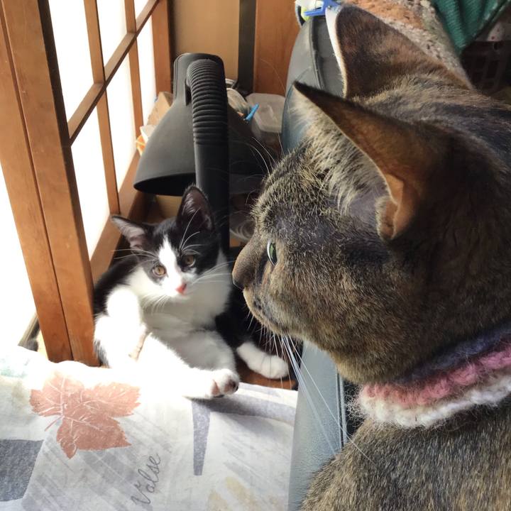 50075e20 e04b 42fe b8b2 183659c503e3 1626570677518