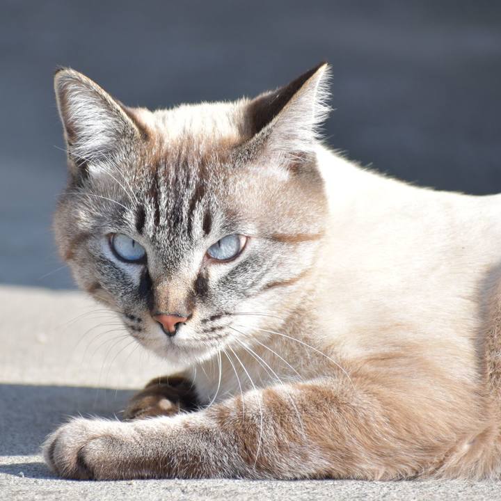 5007840f 2d0a 4a3d bf35 0f5aceab454a 1518331277647