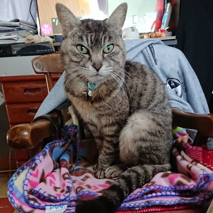 5007a04e b97d 45fd 9e5d 8eb440ee5493 1555196157039