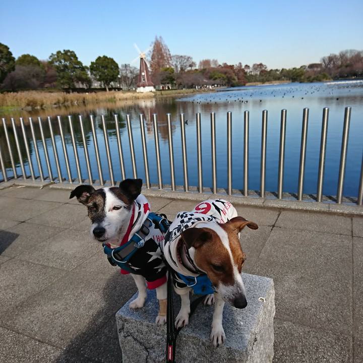 5007c9cd f516 437e 951c fb9f09bc0d4c 1545212352490