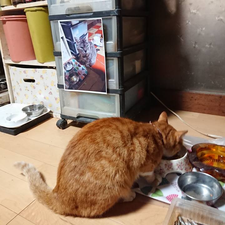 5007d22c d2d0 4ef7 8bf7 9d9853a6d128 1600721368797