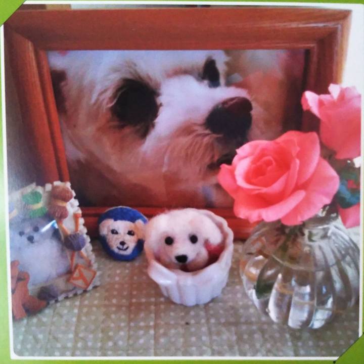 5007e06d 18bf 4de1 b6f9 2612ac3bb3d5 1572133394068