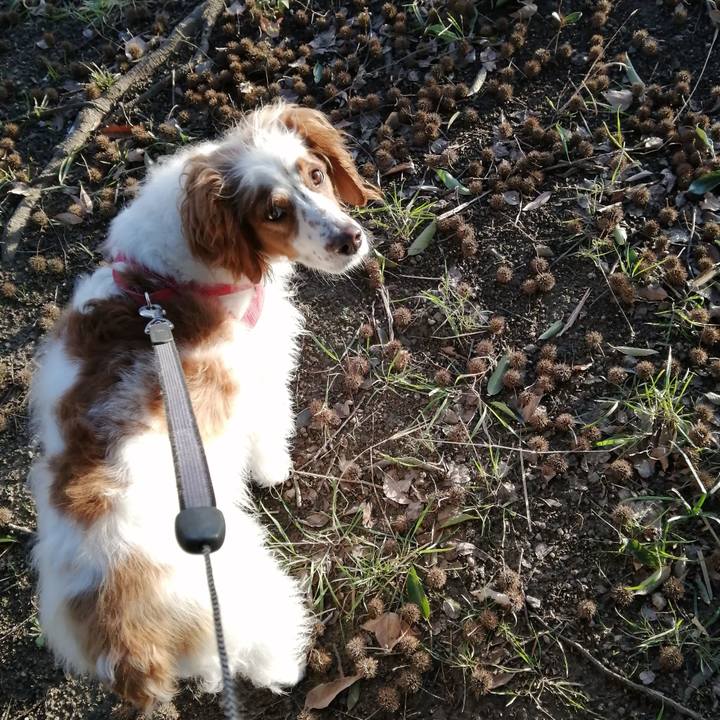 5007eed9 94b5 4d3b a9c0 a0a47fd90aa9 1582243461823