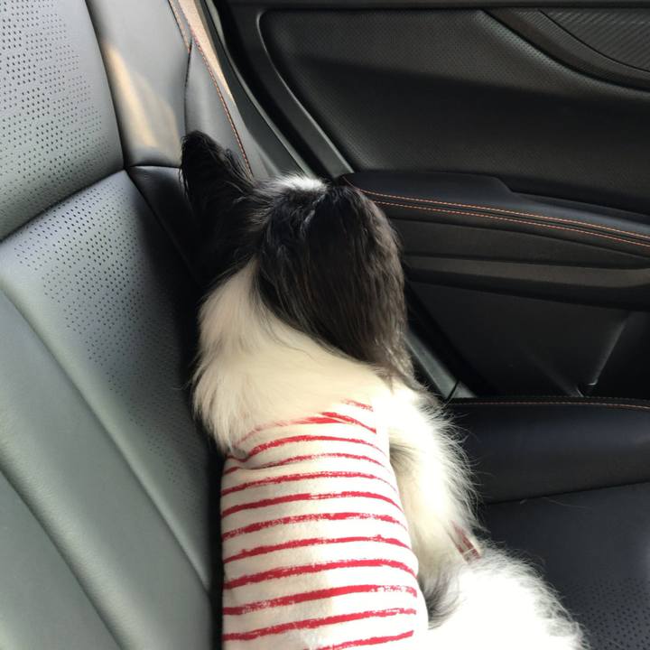 50080e5e a836 4777 b8a0 a3a25d0fcba7 1533525390328