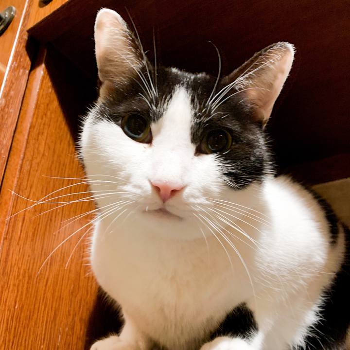 500813b3 0f59 4dfd 8eae 4d6bc6f48ff3 1548119749759