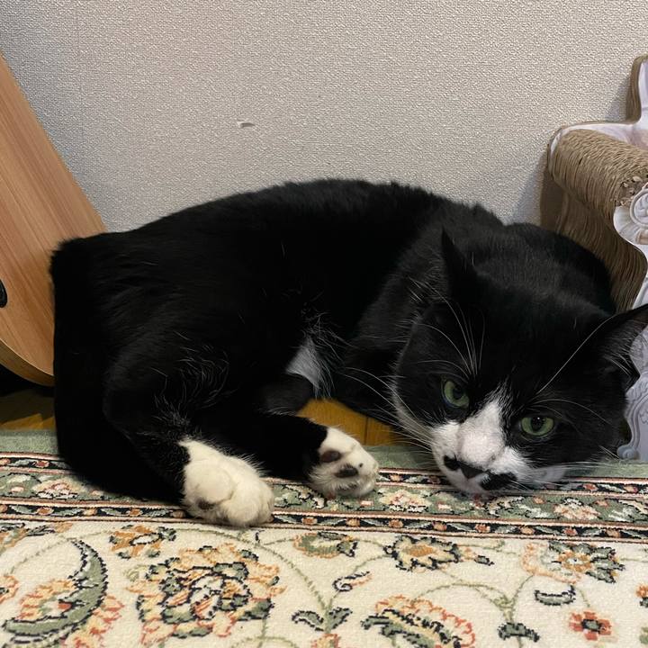 500848ef 5172 4119 b201 eb0866c55e8f 1691664316367