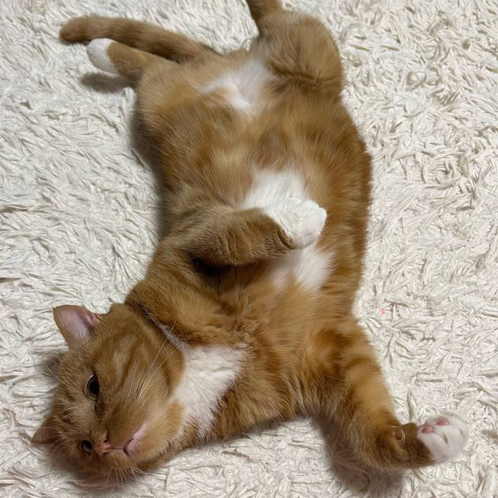 50088bba df28 457a bb7d a241371761e4 1653918530253