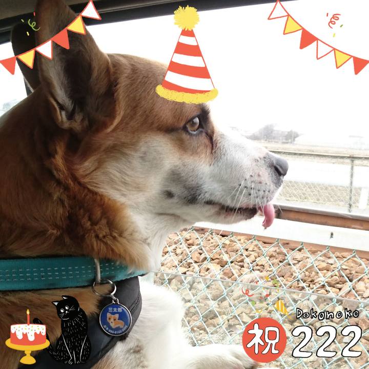 5008cb2f 20dd 460b 8e0f 7ba14ad6b2b0 1645495213614