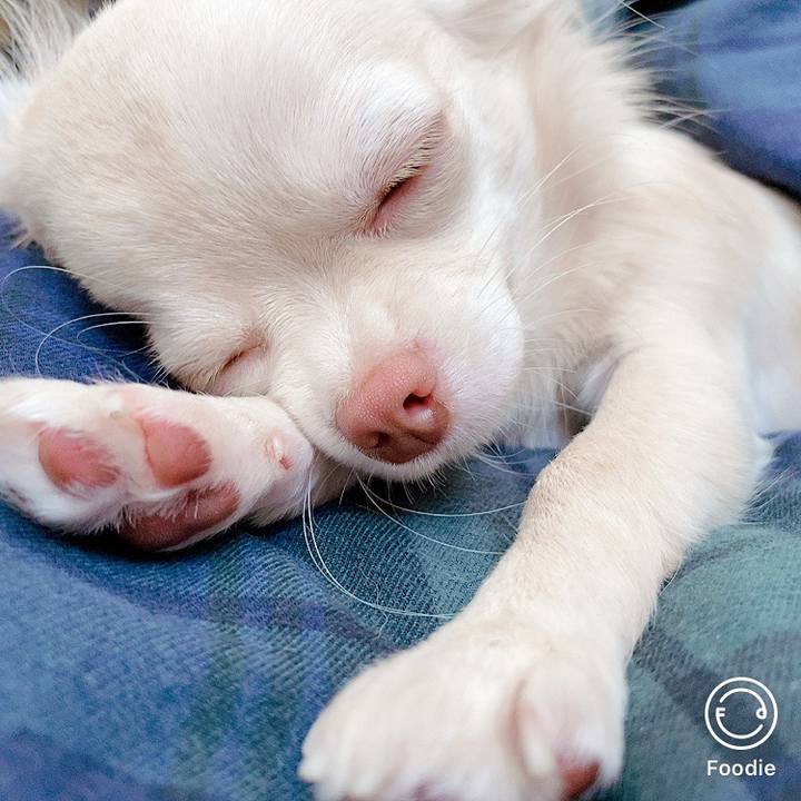 5008cf9a 2bf5 4e1f bd06 c6ddabf888ce 1603587396295