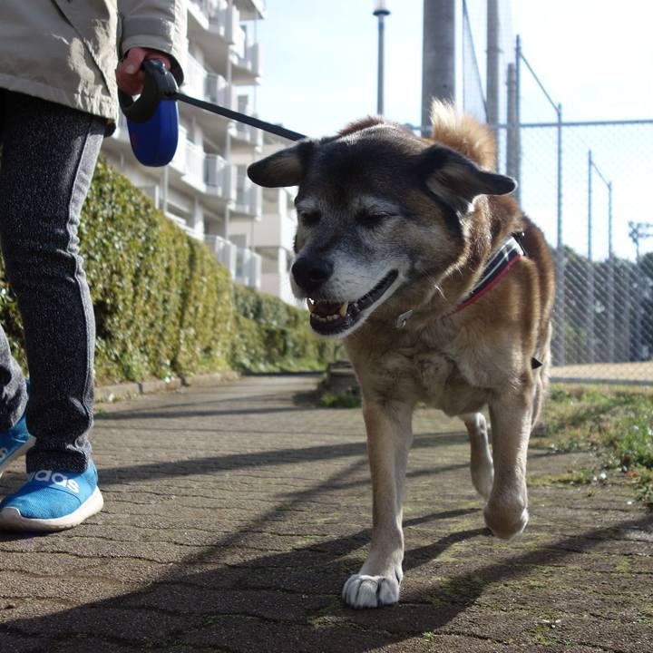 5008da51 f9b6 45a5 b373 ad05a08993a1 1552181233990