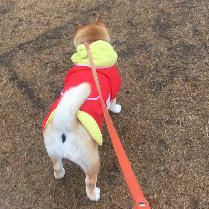 500984a5 72b4 4d5d bd53 68e673b613c4 1574491520366