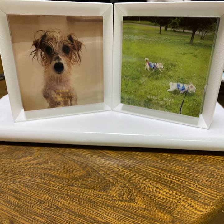 50099fbd e9f8 4ac9 87c2 a2e07f77c530 1621512424854