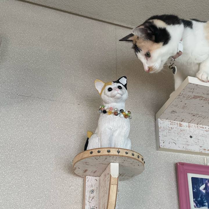 5009ce25 23b7 4f58 9e3b 4650441e34df 1751328803059