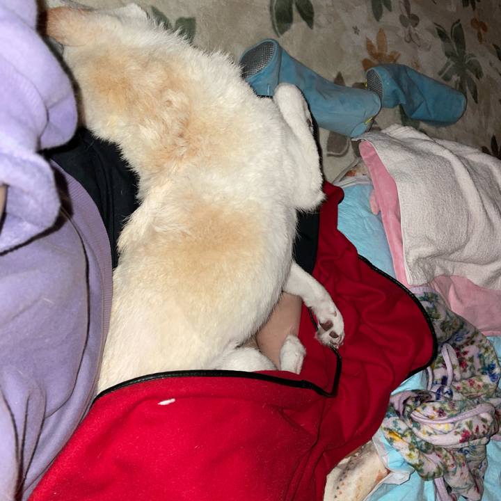 5009eabe c022 4c8d 9187 bebca9e1af89 1671301937159