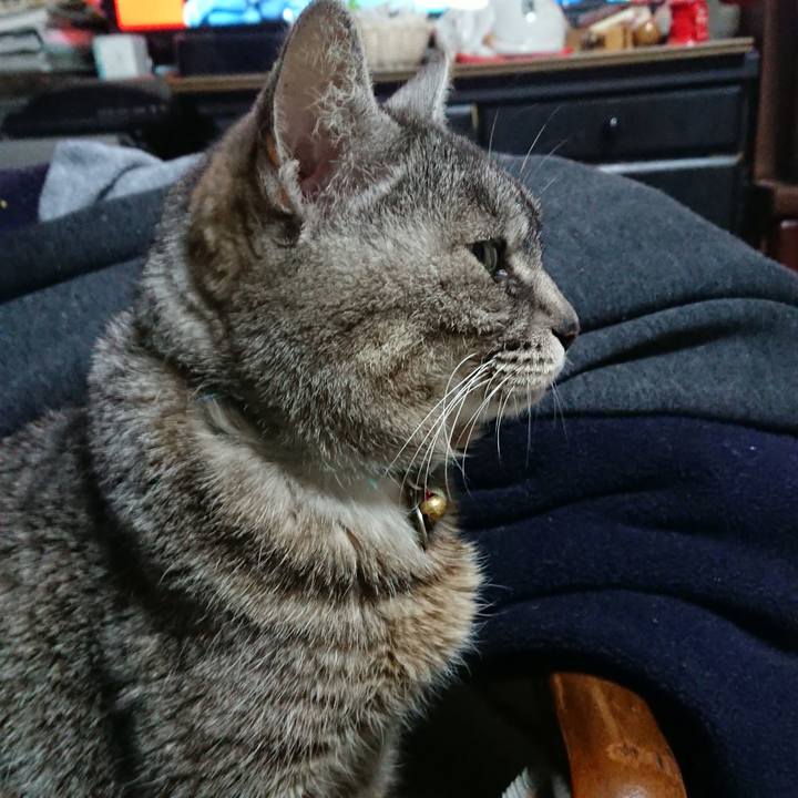 500a0f5f e104 418e bf5a dd4d78268e95 1551181589138