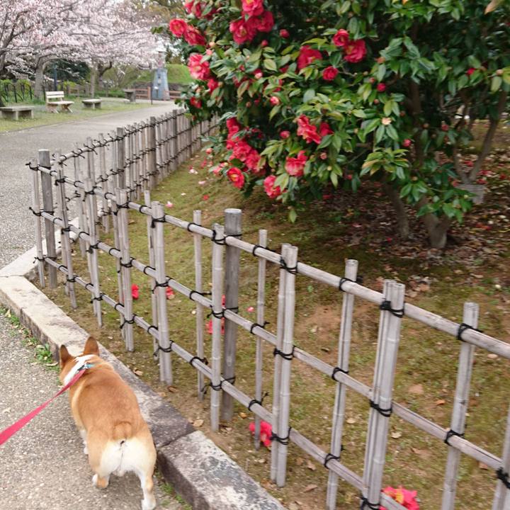 500a1e4d 1f9b 466c a757 fa17880beac4 1616646924604