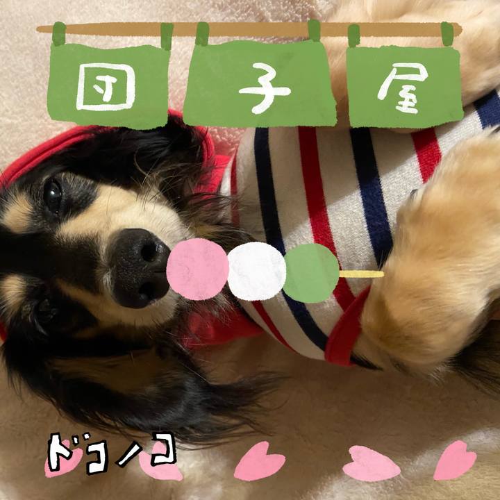 500a209d 2f15 475c b09a 7b1718fd1b66 1712666062681