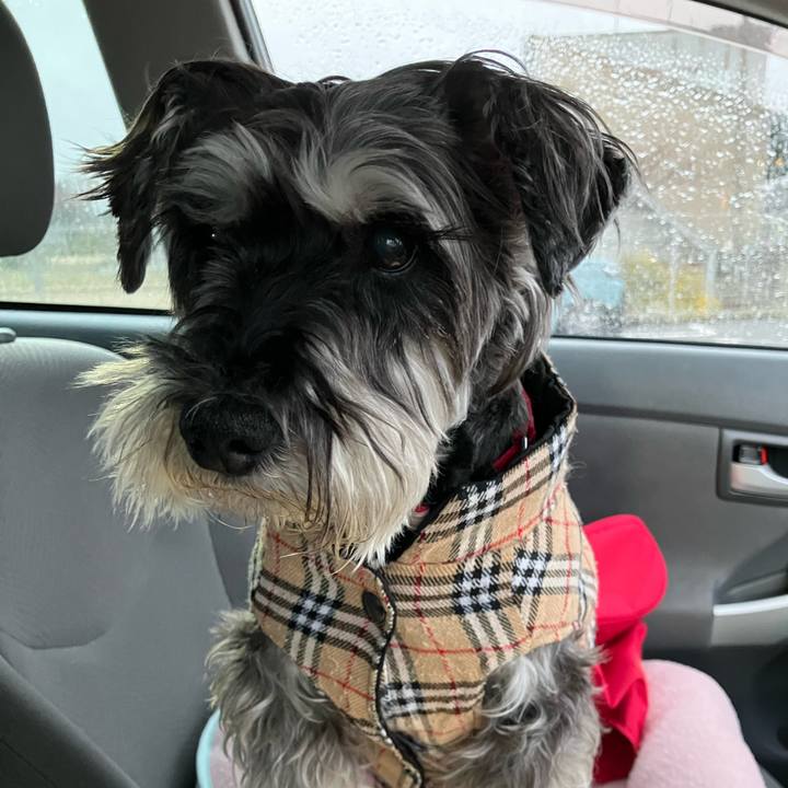 500a539e ce03 415e b9de 8aea62fd10df 1775047743339