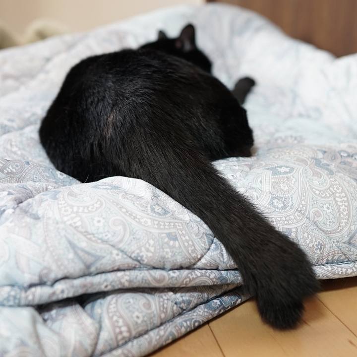 500a6478 ae20 4a1b b938 80ae516272ce 1558914794824