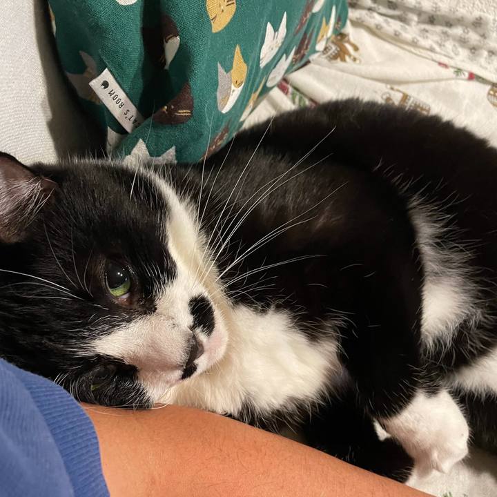 500ab959 7cda 46d9 a933 d6735d0d75ba 1735553640376